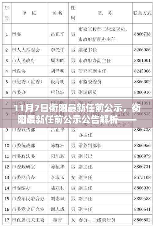 衡阳最新任前公示解析,聚焦要点深度探讨