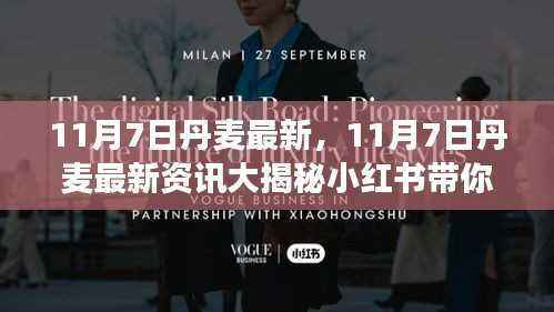 11月7日丹麦最新资讯揭秘,小红书带你领略北欧风情的新鲜事