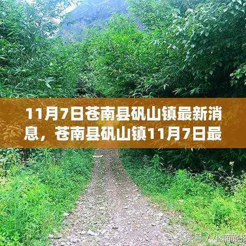 苍南县矾山镇最新消息获取全攻略,轻松掌握最新资讯的步骤指南