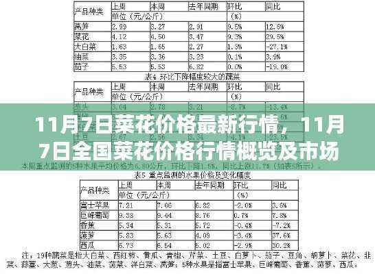 11月7日全国菜花价格行情概览及市场分析,最新市场动态解析