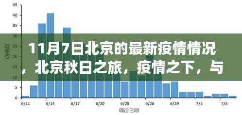 北京秋日疫情下的宁静港湾,与自然共舞寻找内心安宁