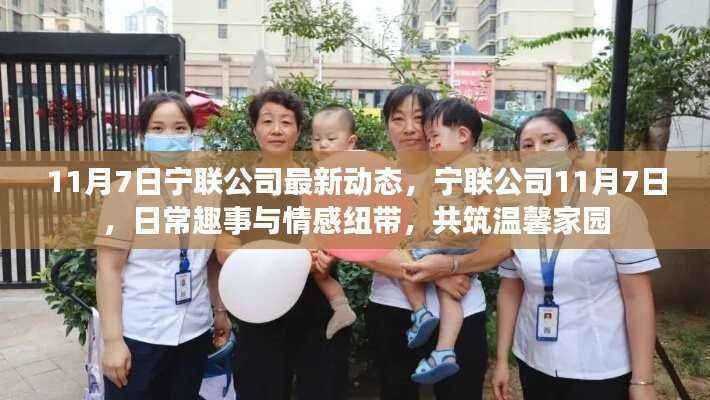 宁联公司11月7日动态更新,日常趣事与情感纽带共创温馨家园
