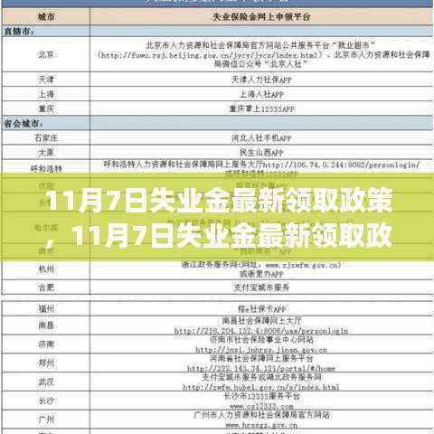 11月7日失业金最新领取政策解读与申请指南