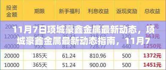 11月7日项城豪鑫金属最新动态详解,从入门到进阶的操作指南