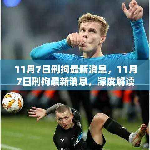 11月7日刑拘最新消息,深度解读与多方观点剖析