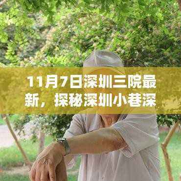 探秘深圳小巷深处的独特风味,三院最新报道,一家隐藏于喧嚣中的特色小店的神秘面纱揭晓