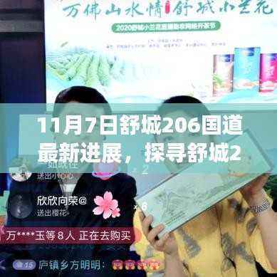 舒城206国道最新进展揭秘,隐藏小巷中的独特风味小店