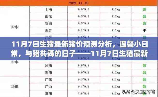 与猪共舞的日子，揭秘最新猪价预测背后的故事