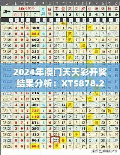 2024年澳门天天彩开奖结果分析:XTS878.21状态评估