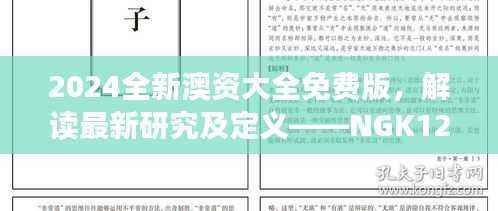 2024全新澳资大全免费版,解读最新研究及定义——NGK125.26普及版