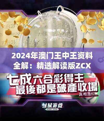 2024年澳门王中王资料全解:精选解读版ZCX736.58