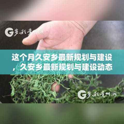 久安乡最新规划与建设动态揭秘