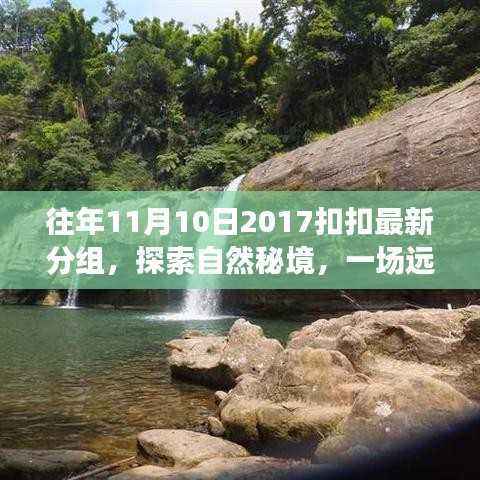 纪念美丽往年11月10日,自然秘境的心灵之旅与最新扣扣分组探索