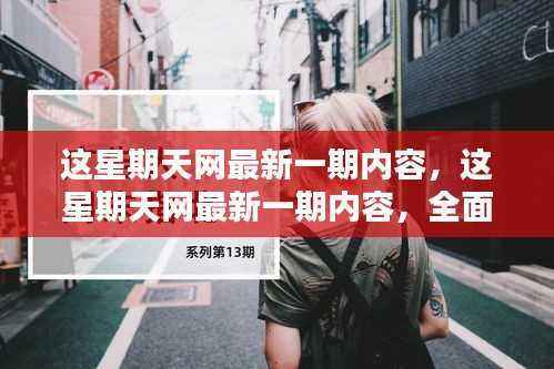 网评新一期内容,全面评测与深度解析