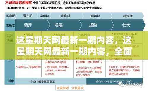 网评新一期内容,全面评测与深度解析