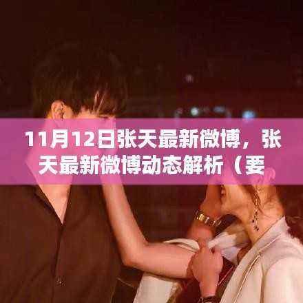 张天最新微博动态深度解析,要点探讨(11月12日)