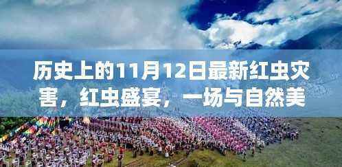 探寻心灵平静之旅,红虫盛宴与红虫灾害的不期而遇的历史记忆之旅