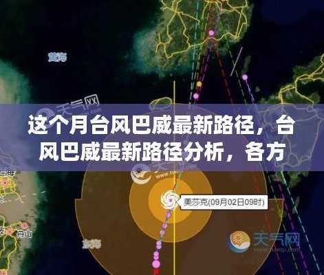 台风巴威最新路径动态分析,多方观点碰撞与个人立场阐述