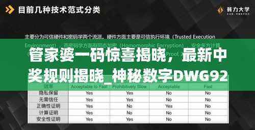 管家婆一码惊喜揭晓,最新中奖规则揭晓_神秘数字DWG923.24