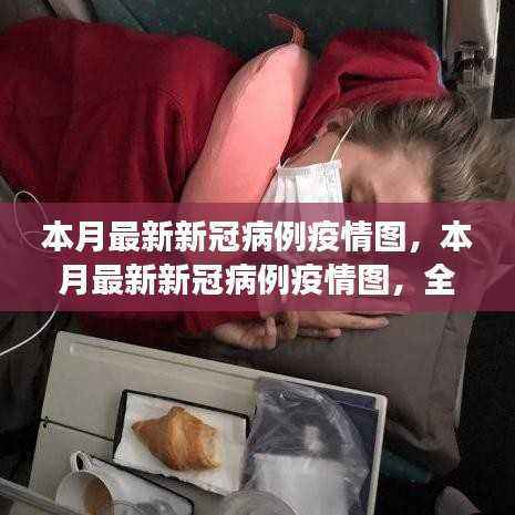 本月新冠病毒疫情图,全面解读传播态势与最新病例数据