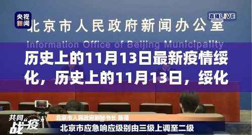 绥化疫情最新进展与历史上的影响洞察,疫情最新进展及影响分析报告(11月13日)
