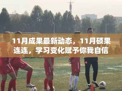 11月硕果连连,学习进步带来的自信与成就感