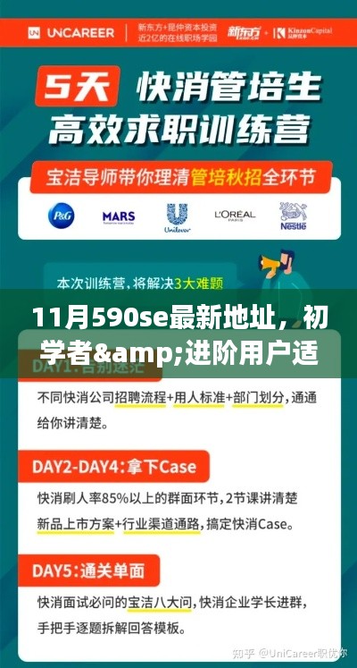 11月590se最新地址获取全攻略,适合初学者与进阶用户掌握最新资讯