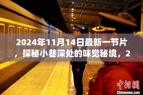 探秘小巷深处的味觉秘境,最新美食天堂揭秘之旅(2024年11月14日最新一节片)