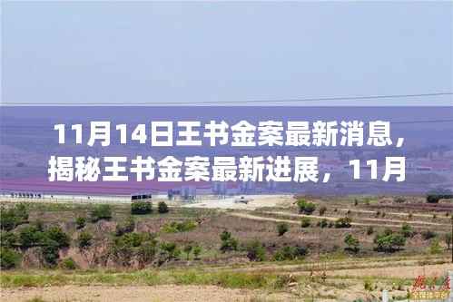 王书金案最新进展揭秘,11月14日全方位解读与应对步骤指南(初学者与进阶用户必读)
