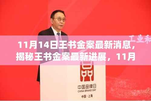 王书金案最新进展揭秘,11月14日全方位解读与应对步骤指南(初学者与进阶用户必读)