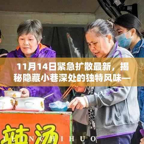 揭秘隐藏小巷深处的神秘小吃店,独特风味紧急曝光
