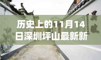 深圳坪山隐秘小巷特色小店传奇故事,味觉奇迹揭秘,11月14日最新新闻速递
