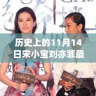 宋小宝与刘亦菲奇妙探险,自然美景之旅唤醒心灵之旅的11月14日新电影发布