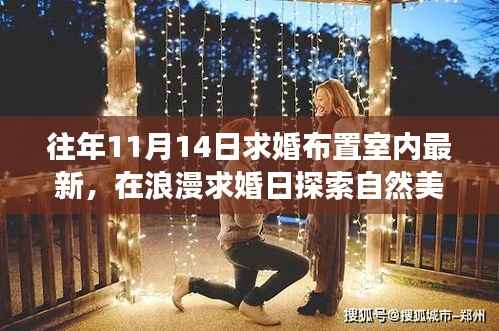 11月14日求婚室内布置新风尚,浪漫之旅启程,探索自然美景与内心平静之路