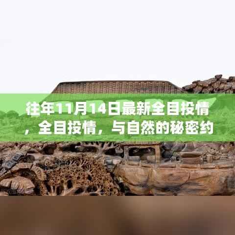 往年11月14日全目投情之旅,与自然秘密的约会,心灵远离尘嚣之旅