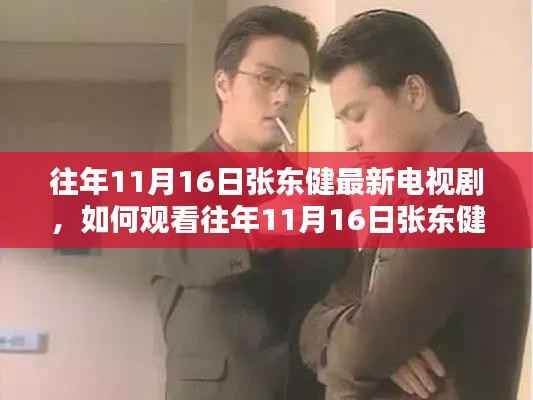 张东健最新电视剧观看指南,往年11月16日剧集详细步骤与攻略分享