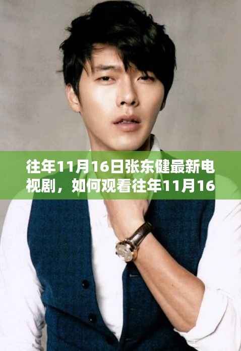 张东健最新电视剧观看指南,往年11月16日剧集详细步骤与攻略分享