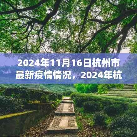 杭州市疫情最新动态及分析,从某某观点探讨疫情情况