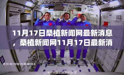 时代脉搏下的新篇章,桑植新闻网最新消息综述