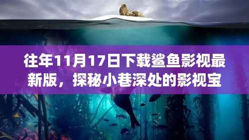 鲨鱼影视最新版下载之旅,探秘小巷深处的影视宝藏之路