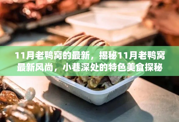 揭秘11月老鸭窝最新风尚,小巷深处的特色美食探秘之旅