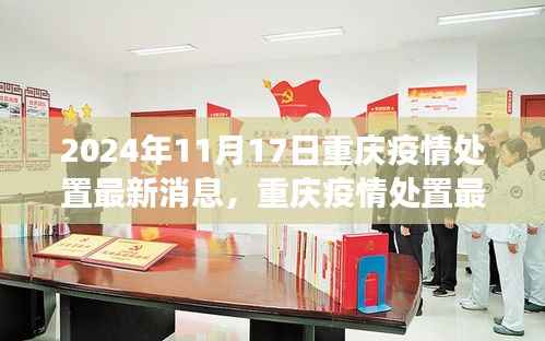 2024年11月17日重庆疫情处置回顾与展望,最新消息与动态