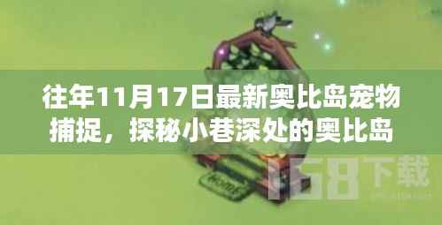 探秘奥比岛宠物捕捉秘籍店,独家记忆中的宠物捕捉之旅(11月17日更新)