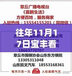 往年11月17日宝丰看守所深度揭秘,内部最新消息与背后故事曝光!