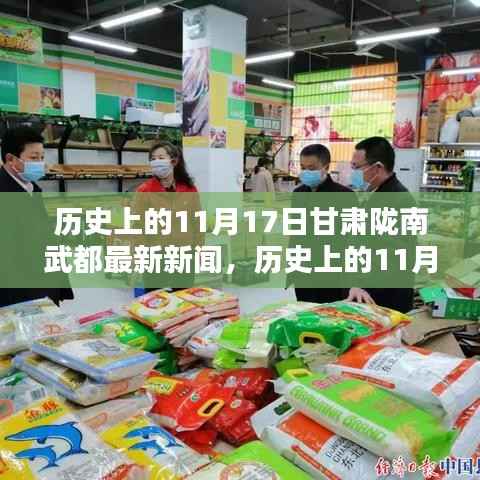历史上的11月17日甘肃陇南武都新闻深度回顾与评测