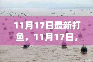 11月17日扬帆出海,与鱼共舞的自然探索之旅