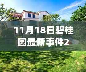 碧桂园温馨日常,意外惊喜派对事件回顾 2019年11月18日