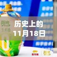 历史上的11月18日,健康元公司的新里程碑,拥抱学习与变化的力量