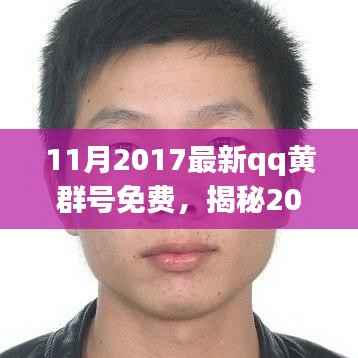 揭秘QQ黄群号现象,犯罪阴影下的免费诱惑与影响