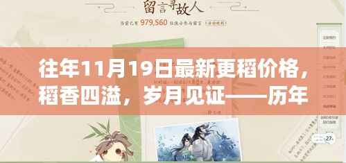 历年十一月十九日稻谷价格的深度剖析,稻香四溢,见证岁月变迁